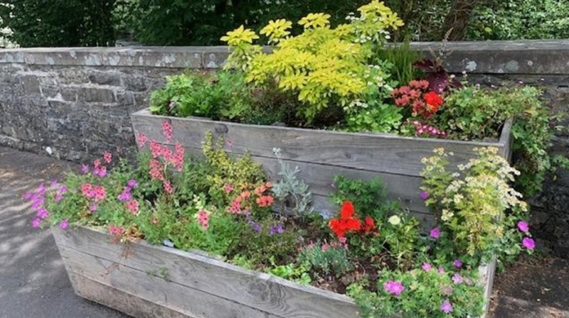 Llanwrtyd Wells Gardens